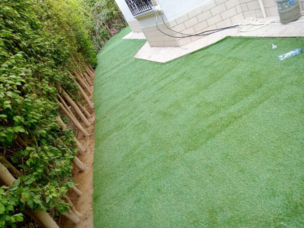 Zizinia Compoundا | Green Grass
