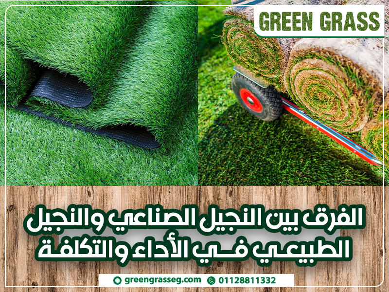 الفرق-بين-النجيل-الصناعي-والنجيل-الطبيعي-في-الأداء-والتكلفة