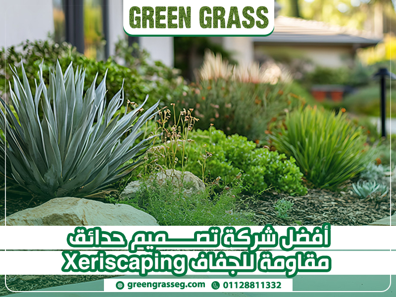 أفضل-شركة-تصميم-حدائق-مقاومة-للجفاف-Xeriscaping