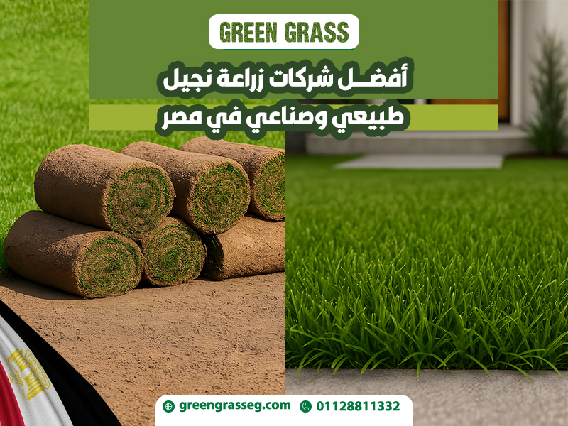 أفضل شركات زراعة نجيل طبيعي وصناعي في مصر