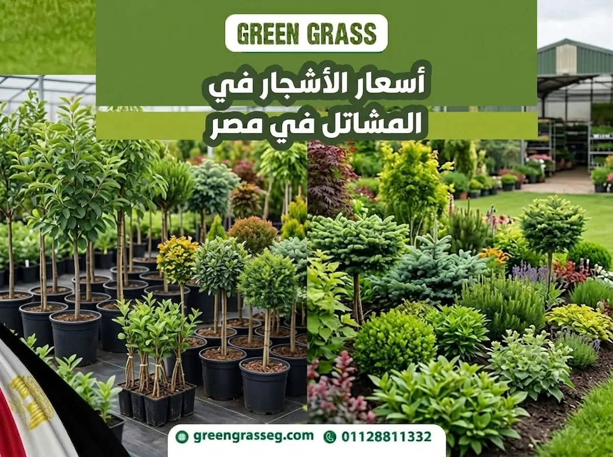 أسعار الأشجار في المشاتل للمشروعات